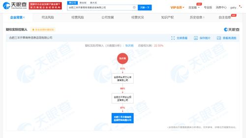 商務信息咨詢 企業(yè)決策的智慧引擎